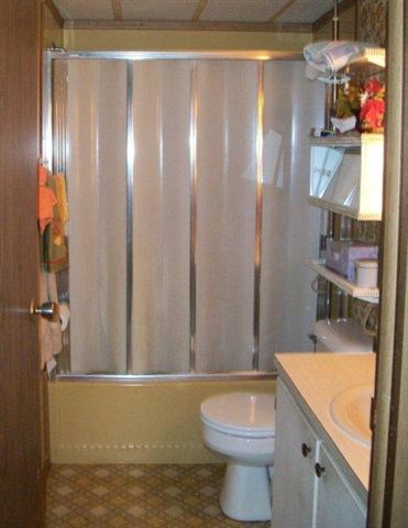 10429 2 Mile Road Thomson, IL 61285 - Photo 8 of 12 a bathroom with a sink a toilet and shower curtain