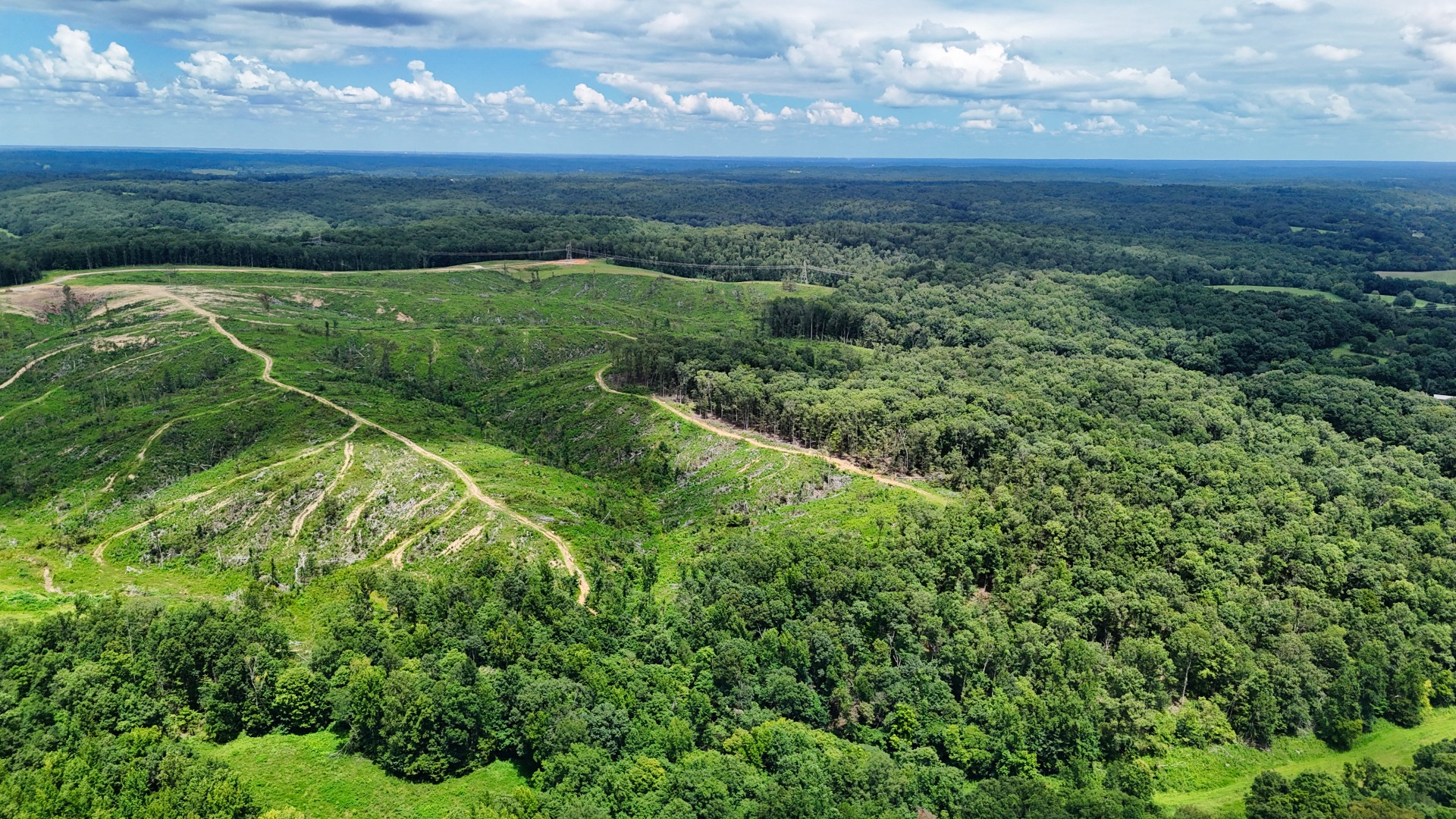 1 Bell Hollow Road Vanleer, TN 37181 - Photo 15 of 38 Gallery Image 15