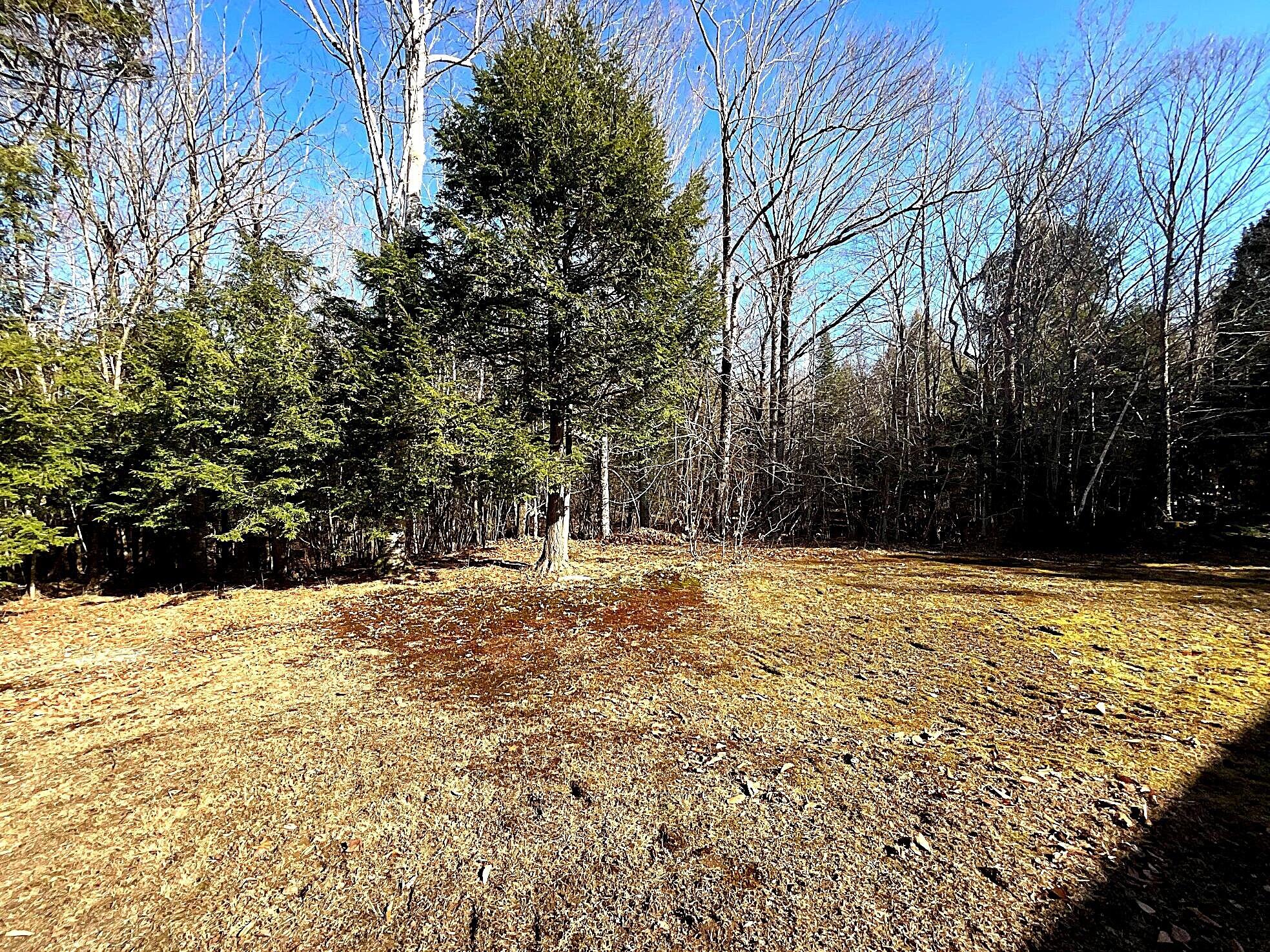 543 Dead River Road Bowdoin, ME 04287 - Photo 12 of 16 Side Yard