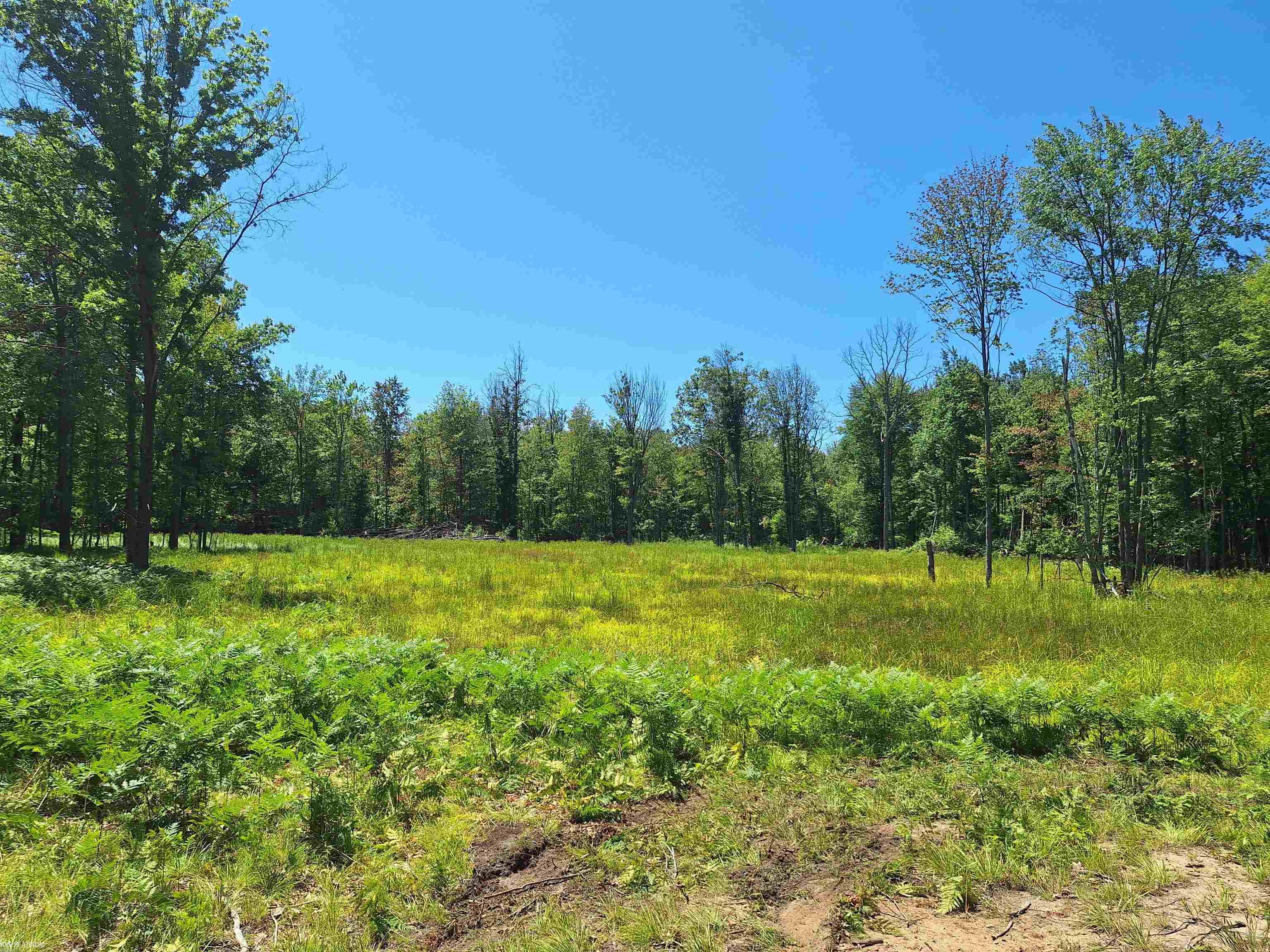 0 Castor Road Midland, MI 48640 - Photo 21 of 26