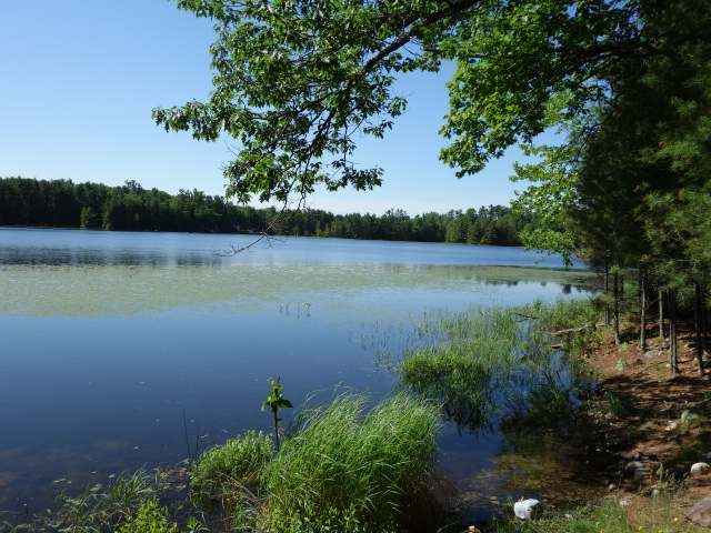 1.8-acre Mid Twin Road Hazelhurst, WI 54531 - Photo 2 of 5 Gallery Image 2
