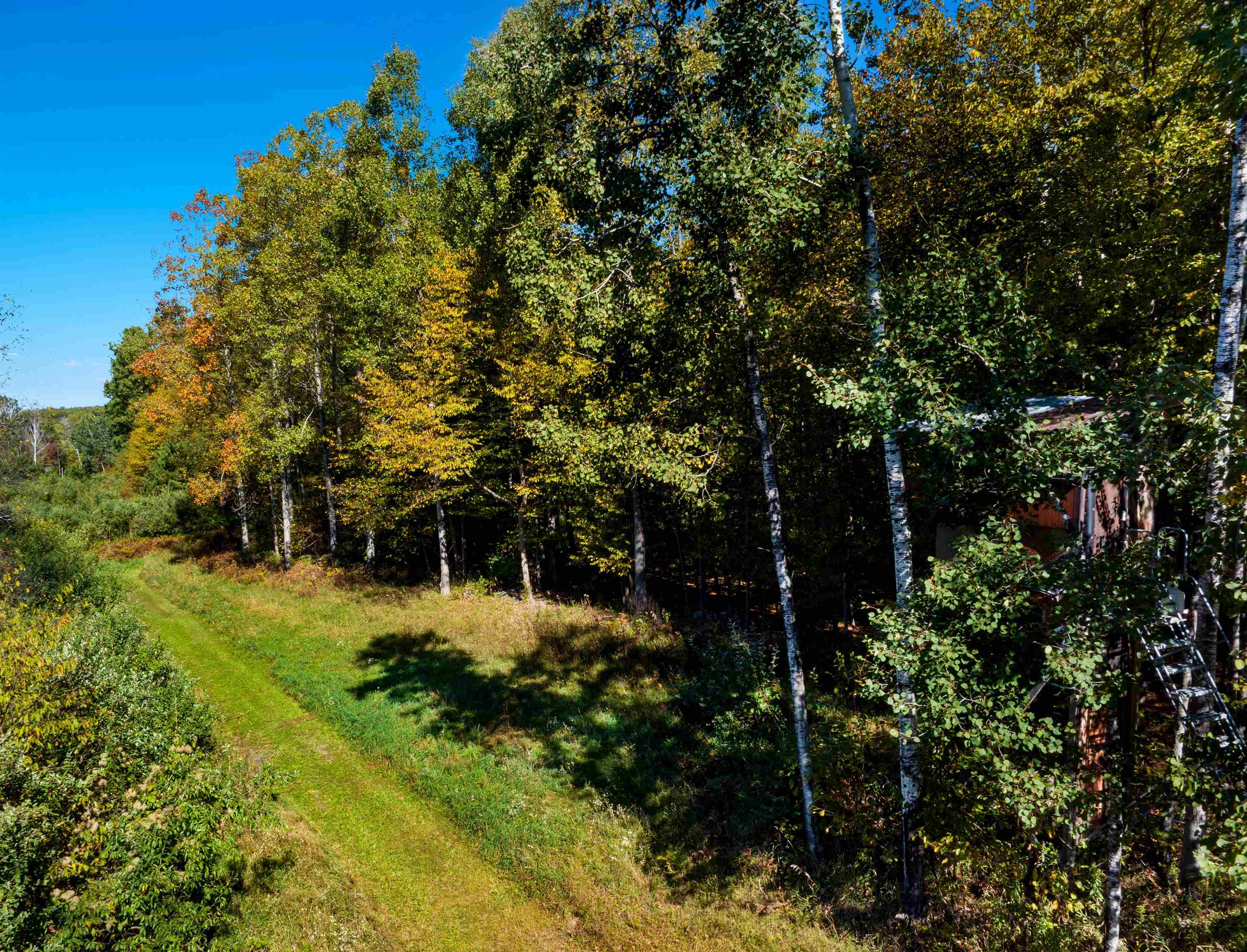 6878 Boss Road Ellsworth, MI 49729 - Photo 24 of 36 1934232-bc8a3a83-ee65-434a-949f-08c0fcb2a62d.JPG