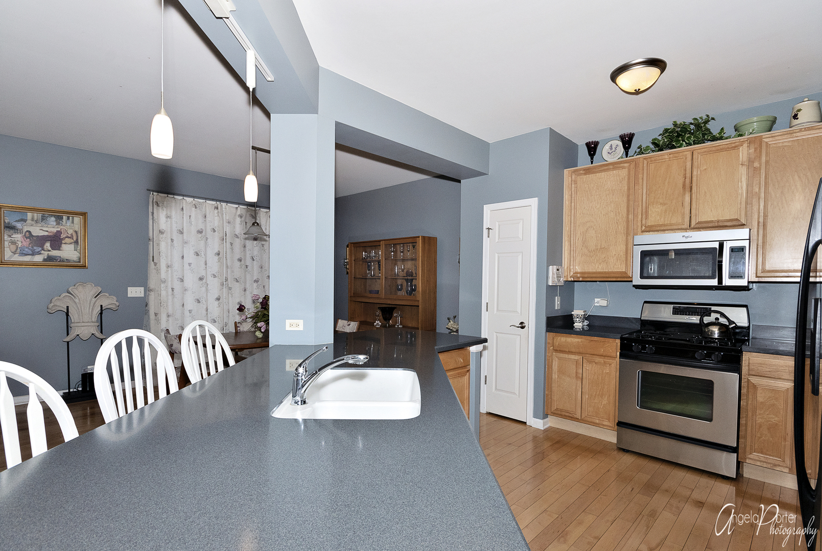 636 North Fox Trail Round Lake, IL 60073 - Photo 8 of 29
