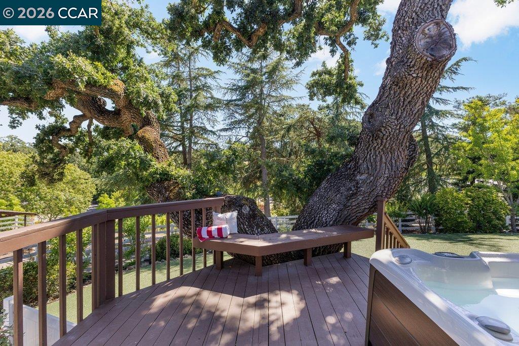 189 Oak Road Alamo, CA 94507 - Photo 45 of 86