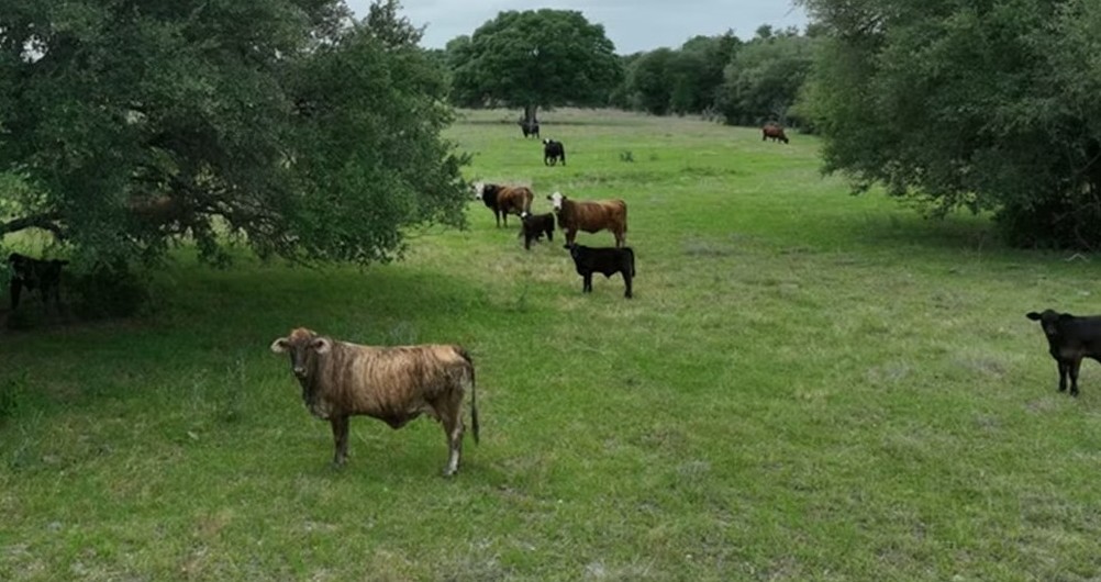 Lot 2 Cr 127 Ledbetter Tx 78946 Ledbetter, TX 78946 - Photo 13 of 15 Exterior view