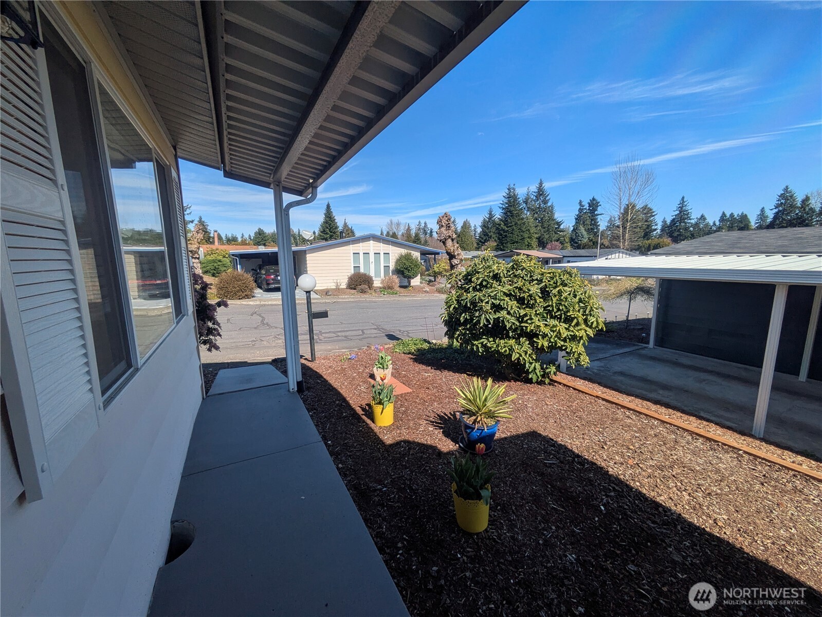 201 Union Avenue Southeast, Unit 217 Renton, WA 98059 - Photo 3 of 24