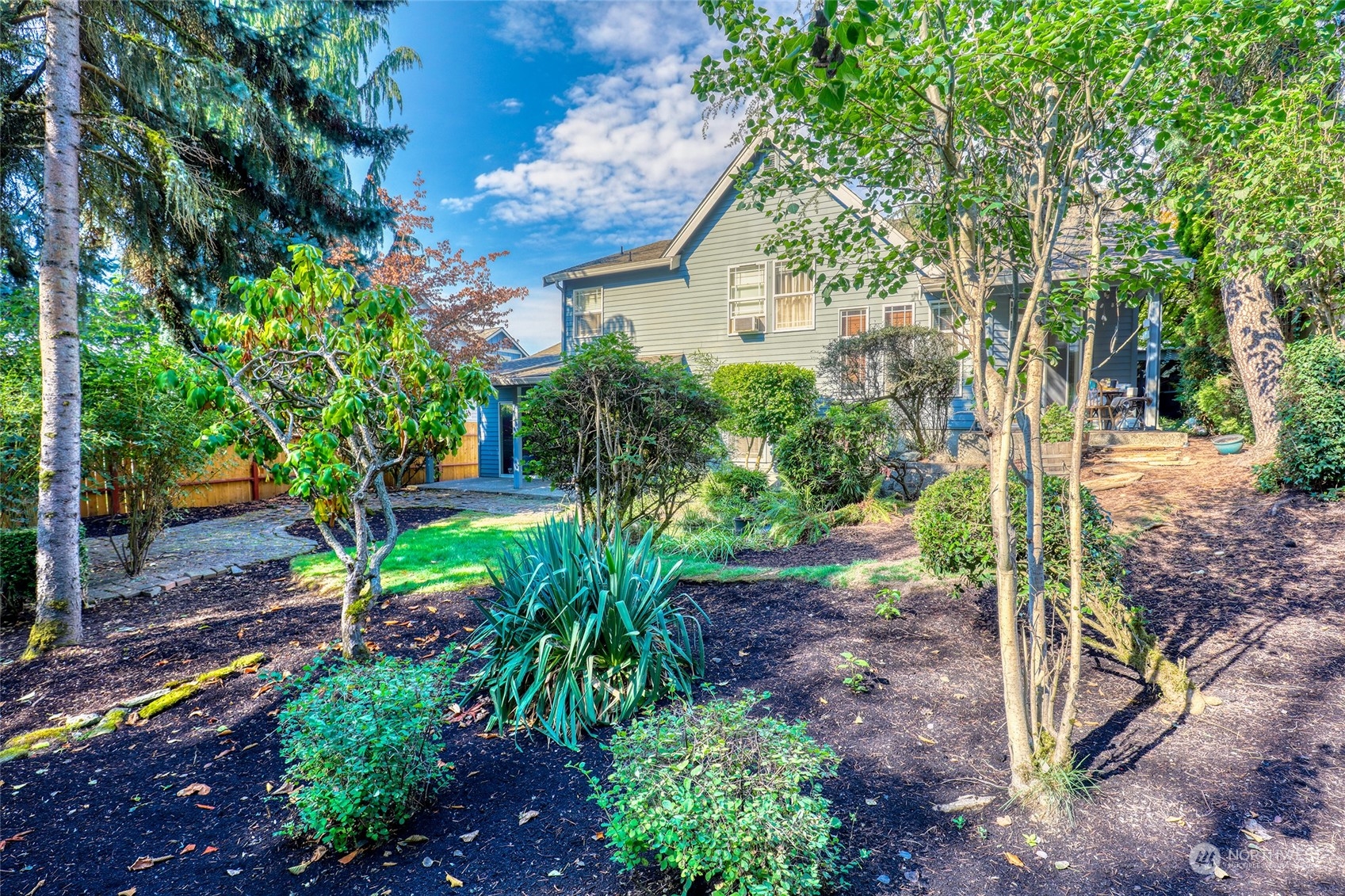 23303 8th Place West Bothell, WA 98021 - Photo 26 of 33 a view of a backyard with plants and large trees
