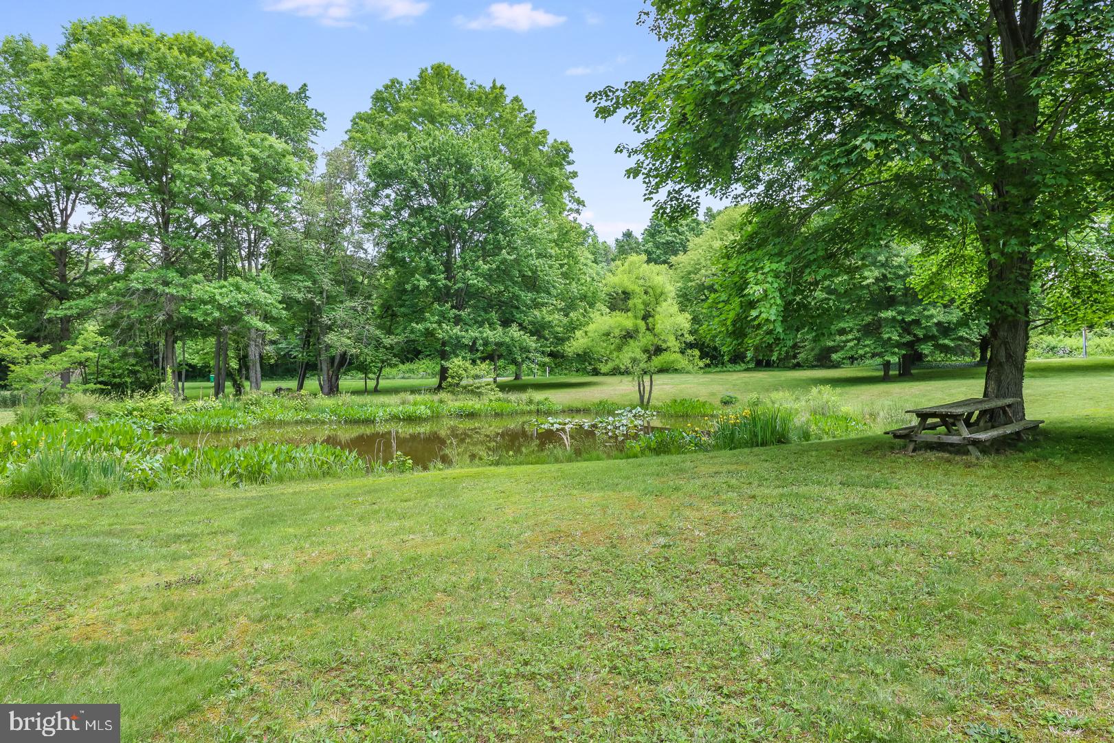 827 Locust Point Road Elkton, MD 21921 - Photo 48 of 59 Gallery Image 48