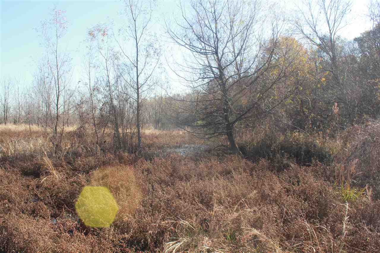 102 Fairview Road Charleston, MS 38921 - Photo 12 of 24 Gallery Image 12