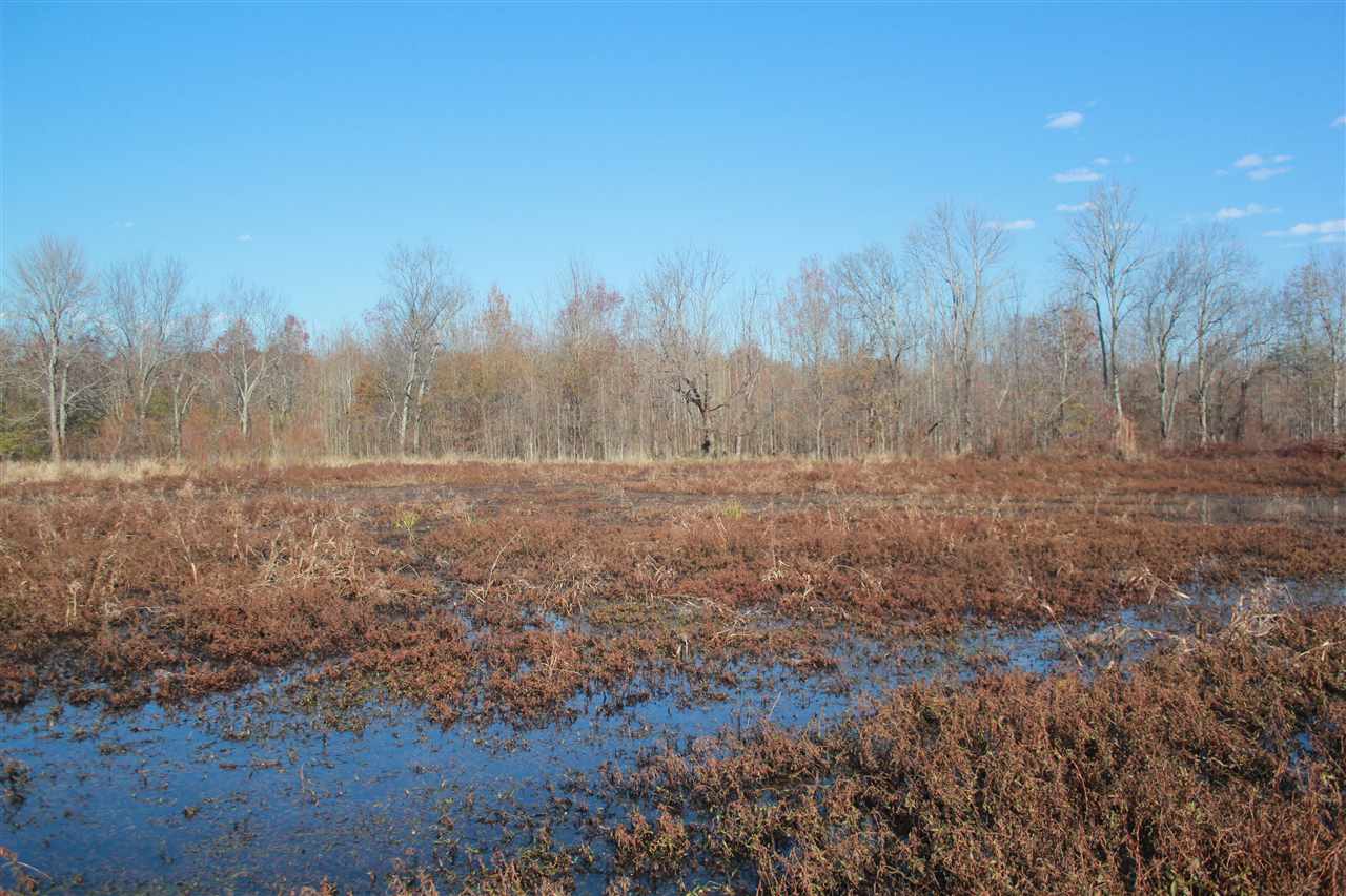 102 Fairview Road Charleston, MS 38921 - Photo 14 of 24 Gallery Image 14