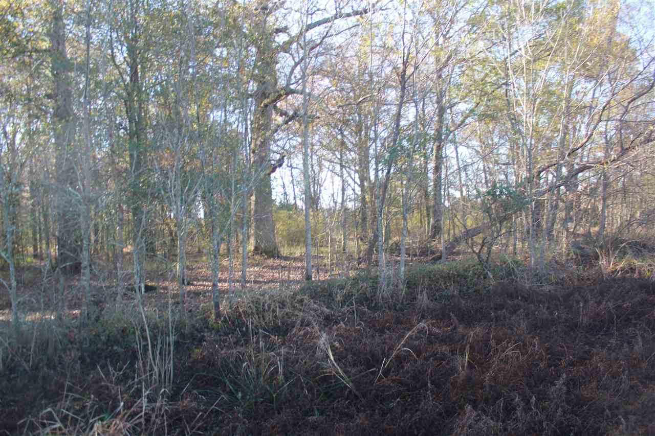 102 Fairview Road Charleston, MS 38921 - Photo 16 of 24 Gallery Image 16