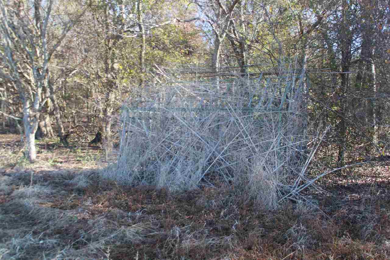 102 Fairview Road Charleston, MS 38921 - Photo 7 of 24 Gallery Image 7
