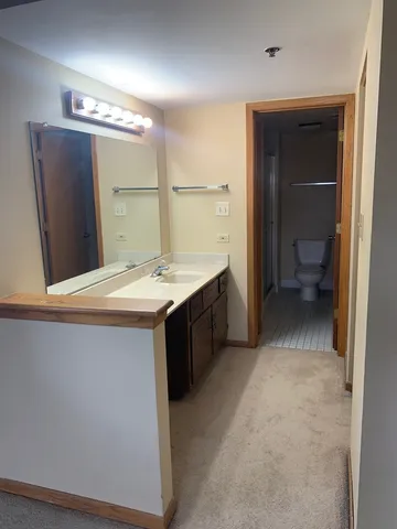 a bathroom with a sink and a toilet