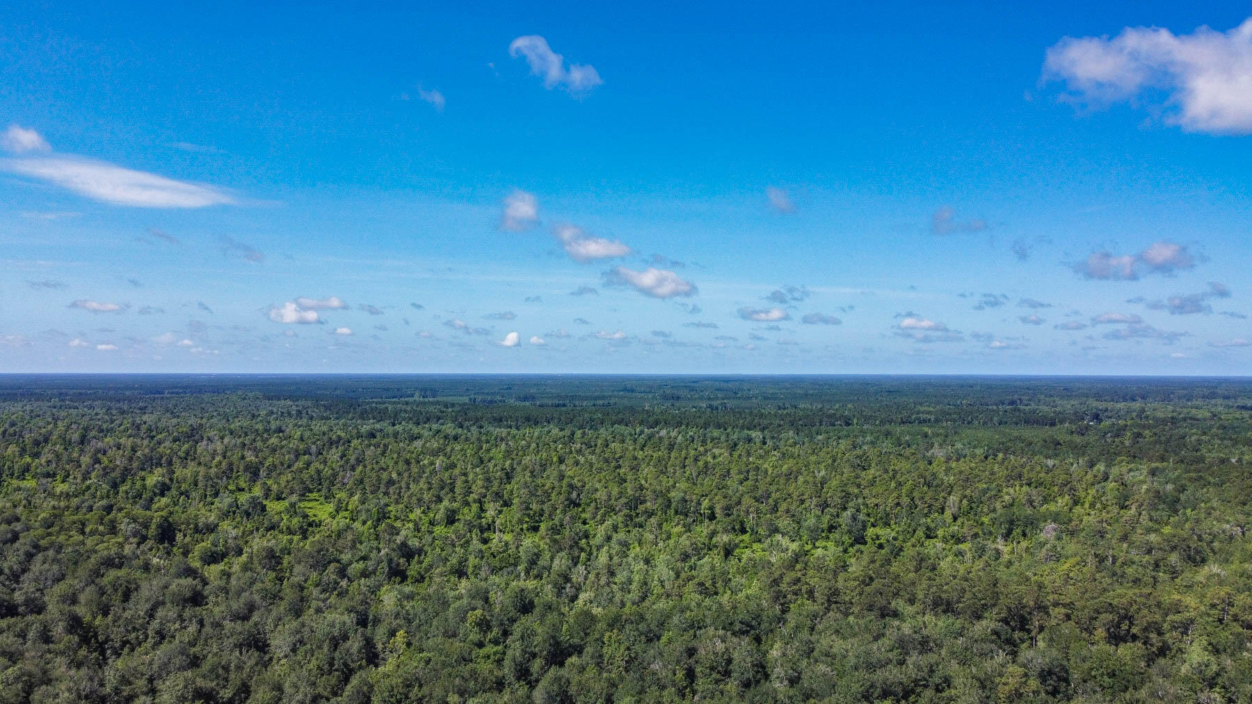 148 Hidden Hills Road Cross, SC 29436 - Photo 54 of 56 DJI_0941final