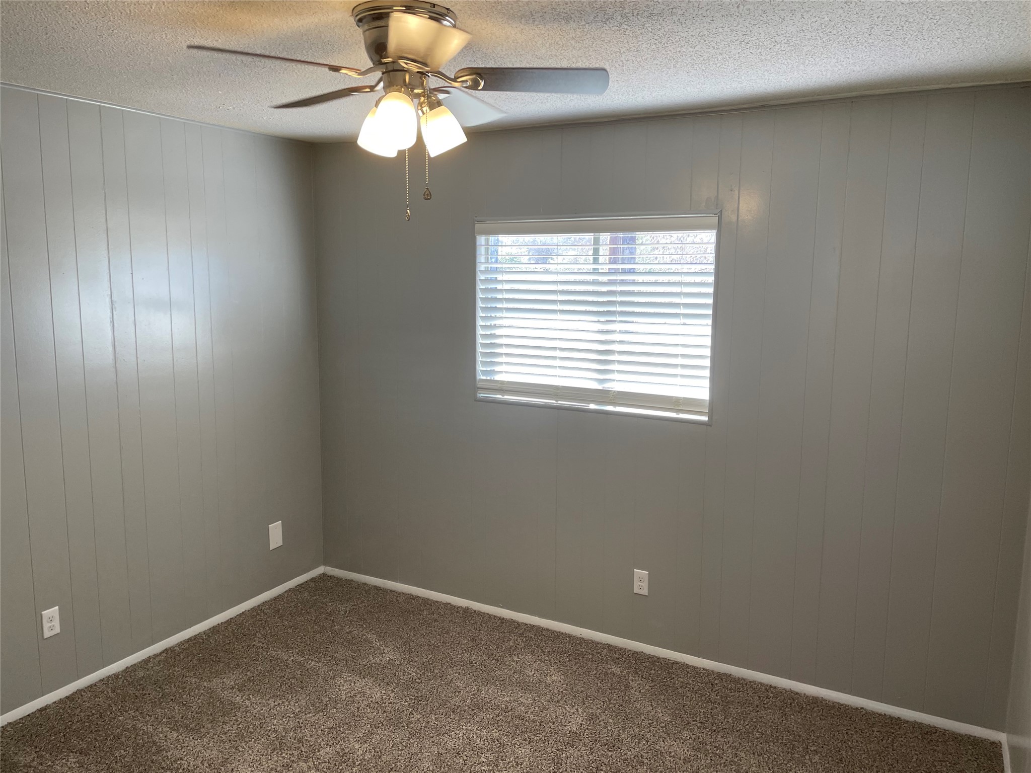 1209 Vance Street, Unit 45 Taylor, TX 76574 - Photo 16 of 32 Empty room with wood walls, a ceiling fan, carpet floors, and a textured ceiling