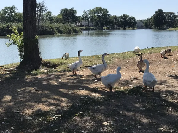 $1,295 | 1209 Vance Street, Unit 10, Taylor, TX 76574