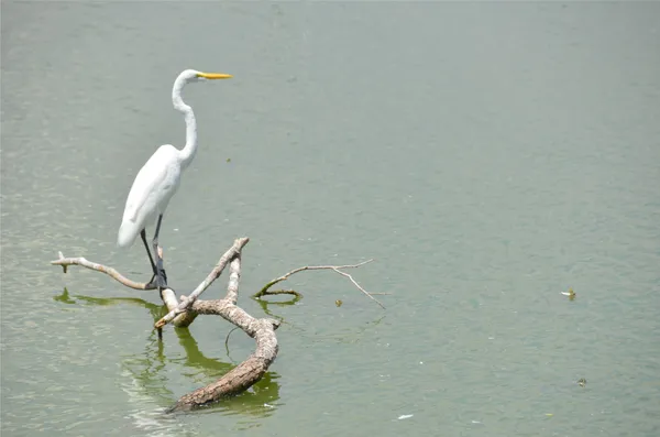 $1,295 | 1209 Vance Street, Unit 10, Taylor, TX 76574