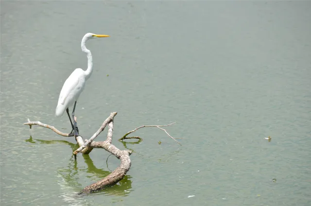 $1,295 | 1209 Vance Street, Unit 45, Taylor, TX 76574