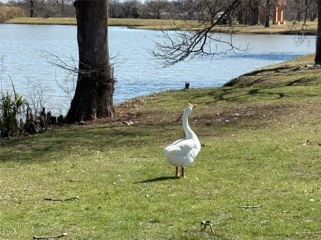 $1,295 | 1209 Vance Street, Unit 45, Taylor, TX 76574