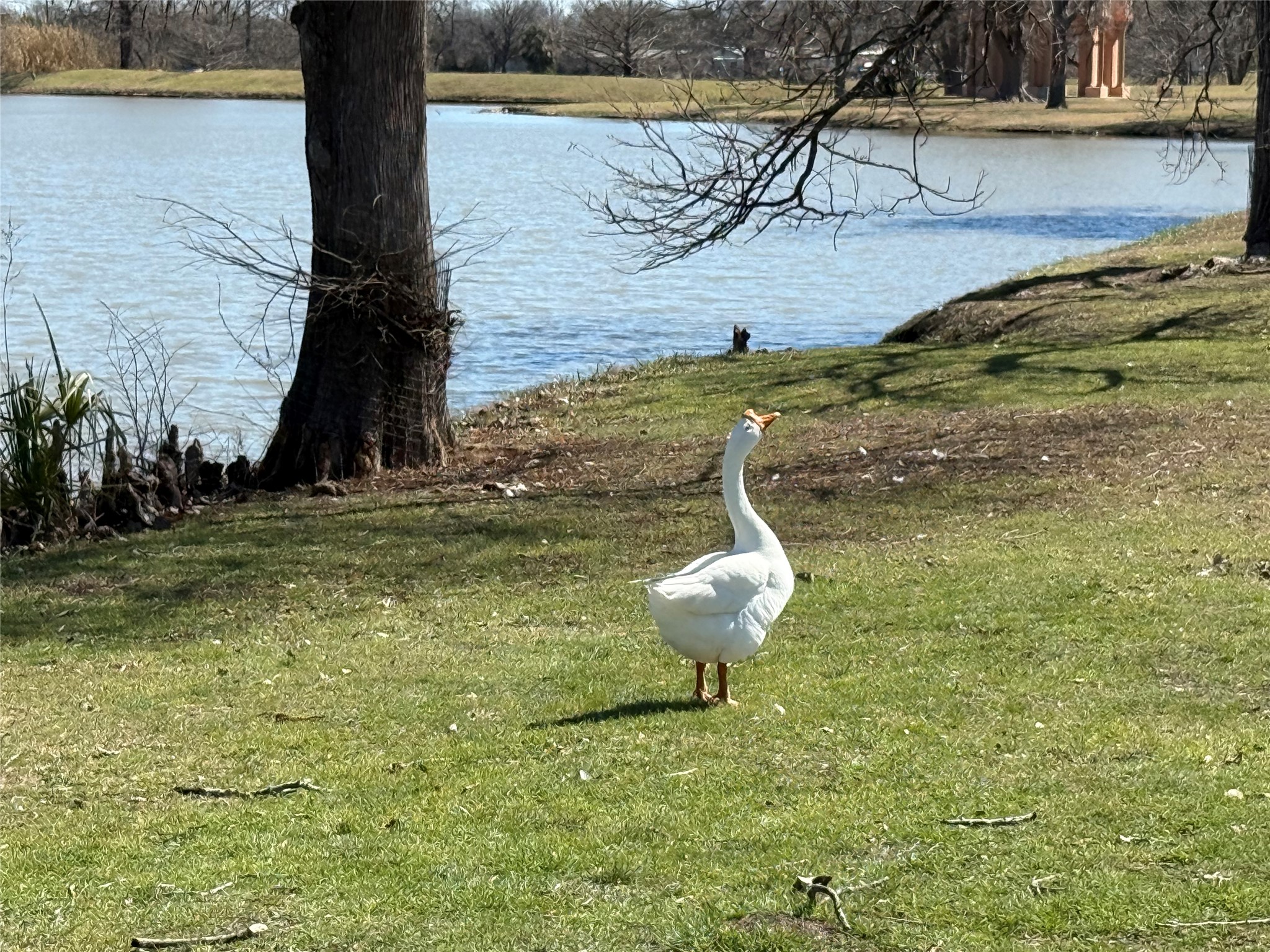1209 Vance Street, Unit 45 Taylor, TX 76574 - Photo 30 of 32 Water view