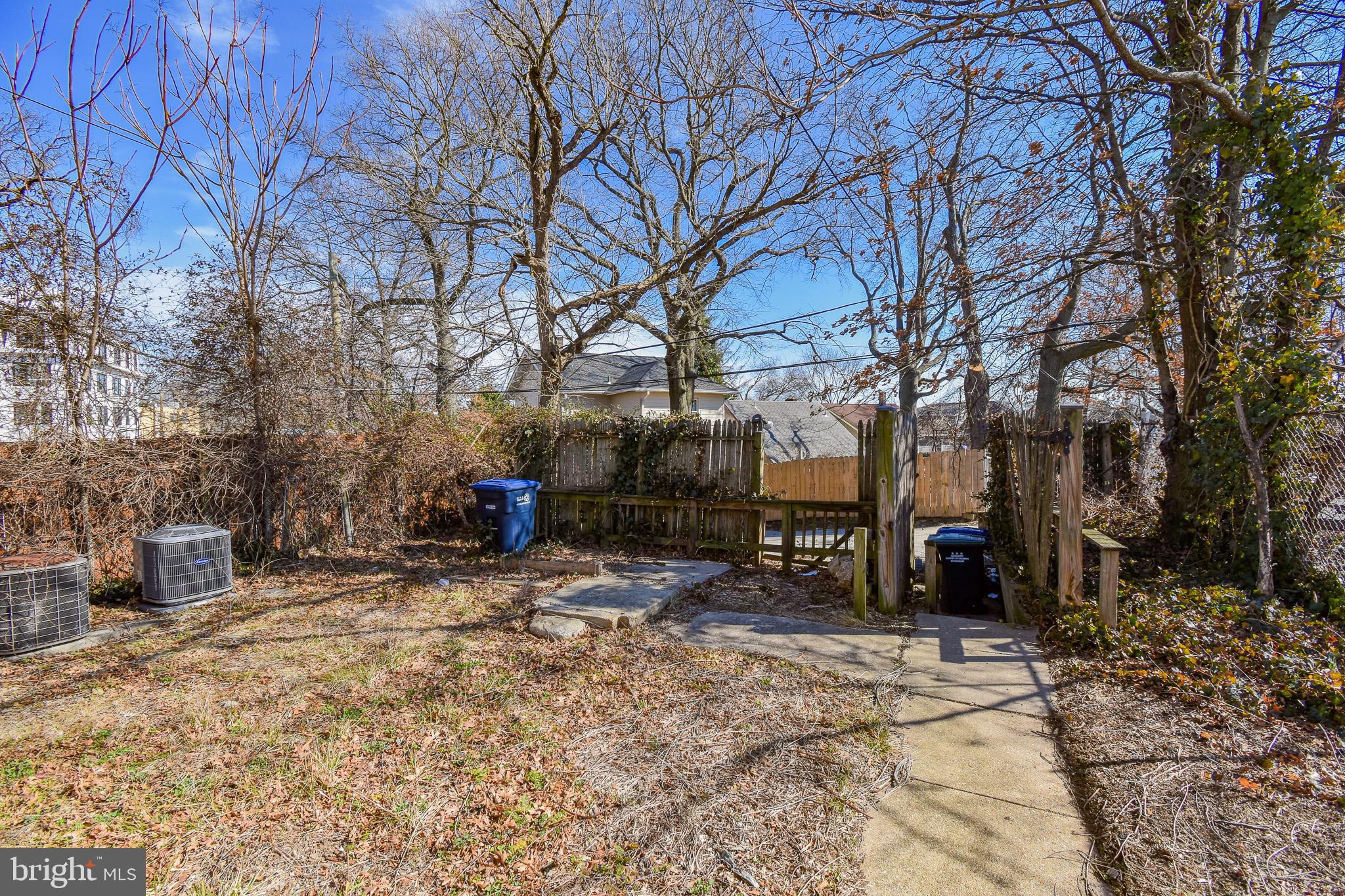 1921 Rhode Island Avenue Northeast Washington, DC 20018 - Photo 5 of 23 a view of a tree in the middle of a yard