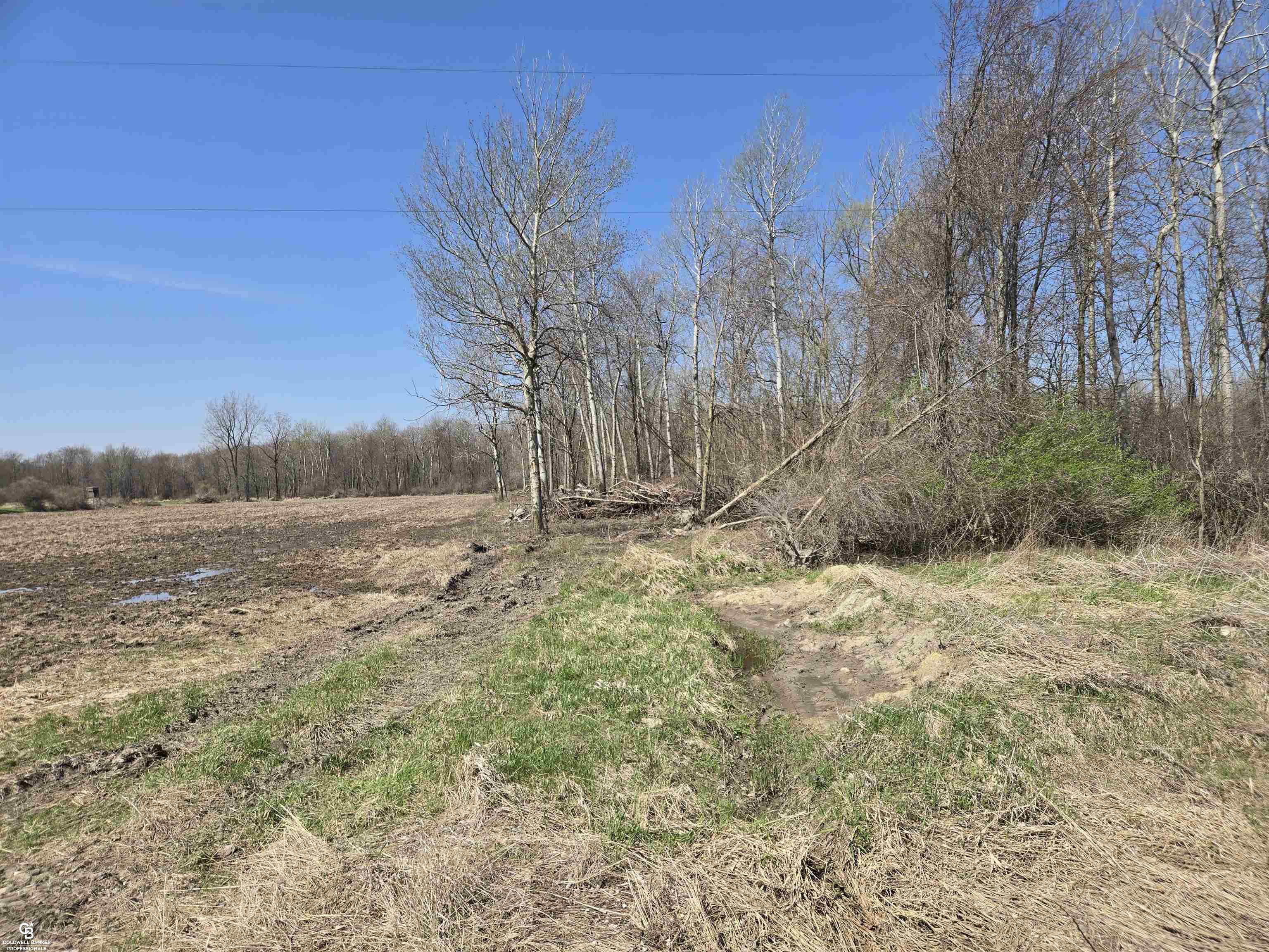 1182 Fetting Road Carsonville, MI 48419 - Photo 6 of 18