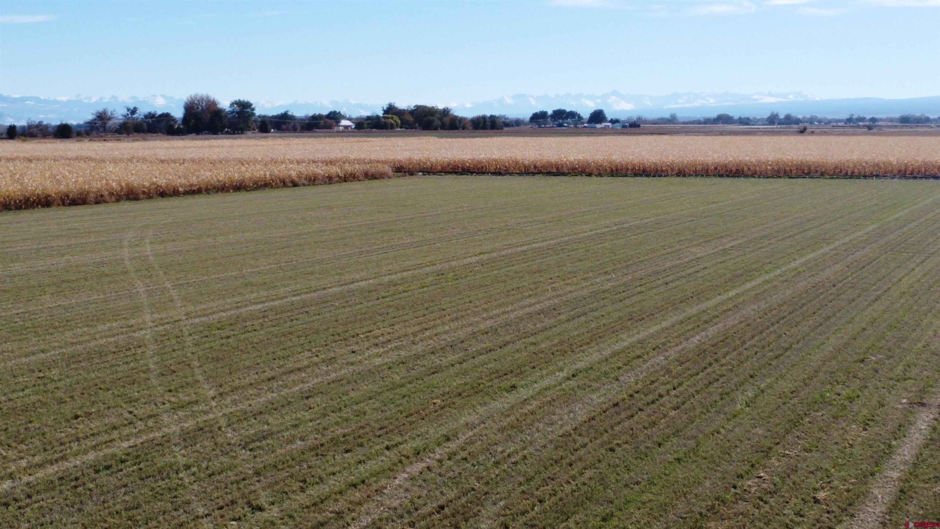 Lot 2 Banner Road Delta, CO 81425 - Photo 2 of 5 a view of a lake view