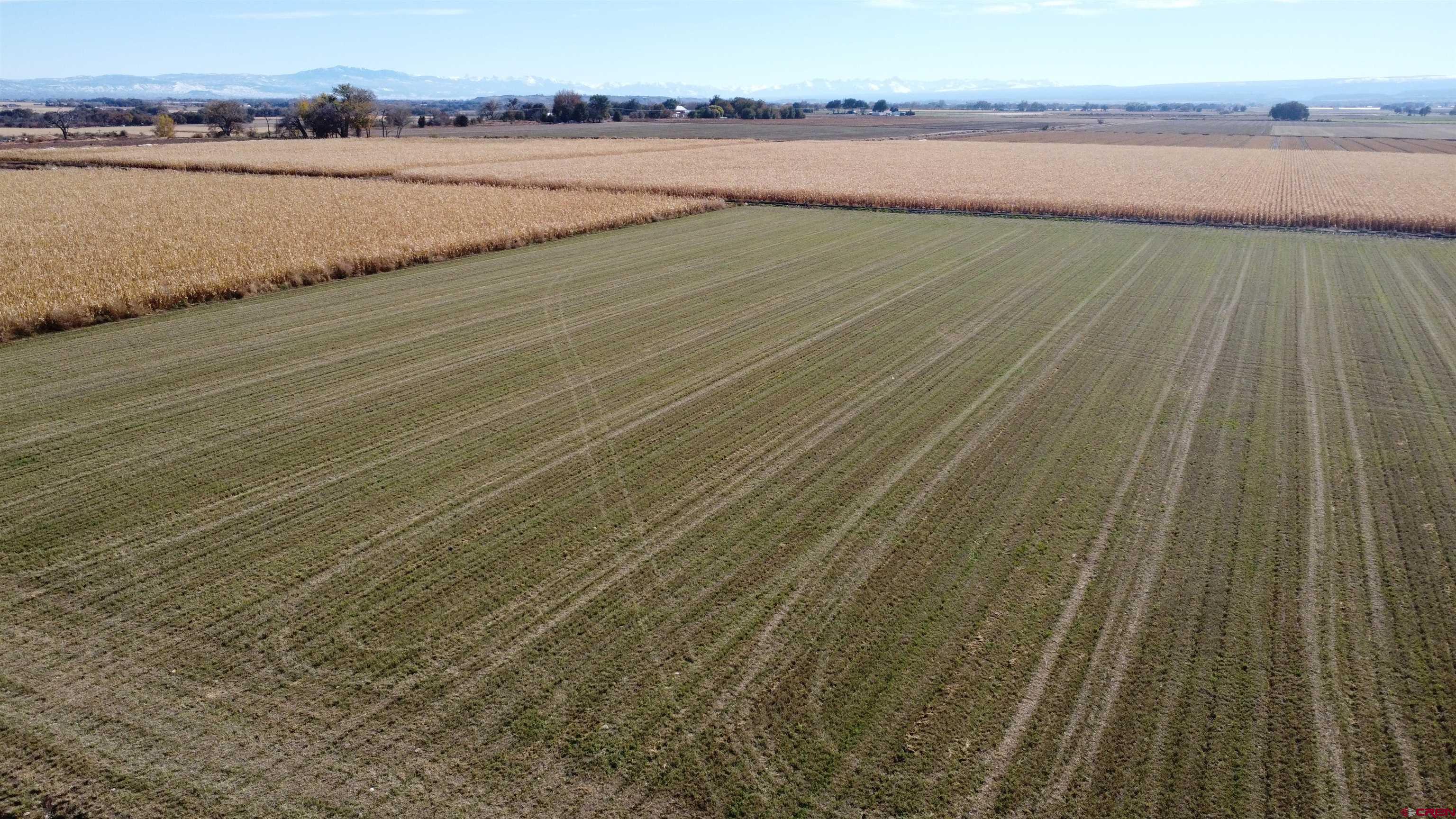 Lot 2 Banner Road Delta, CO 81425 - Photo 4 of 5 a view of a lake view