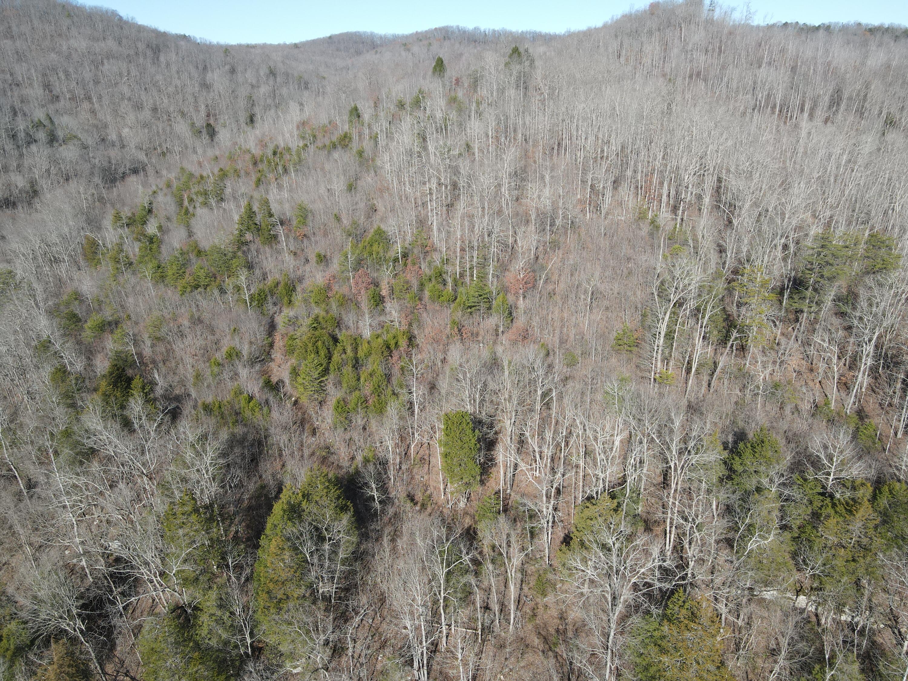 999 Mullins Station Road Livingston, KY 40445 - Photo 6 of 26 DJI_0477