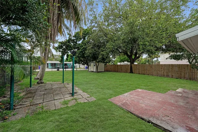 a view of a park with a large trees