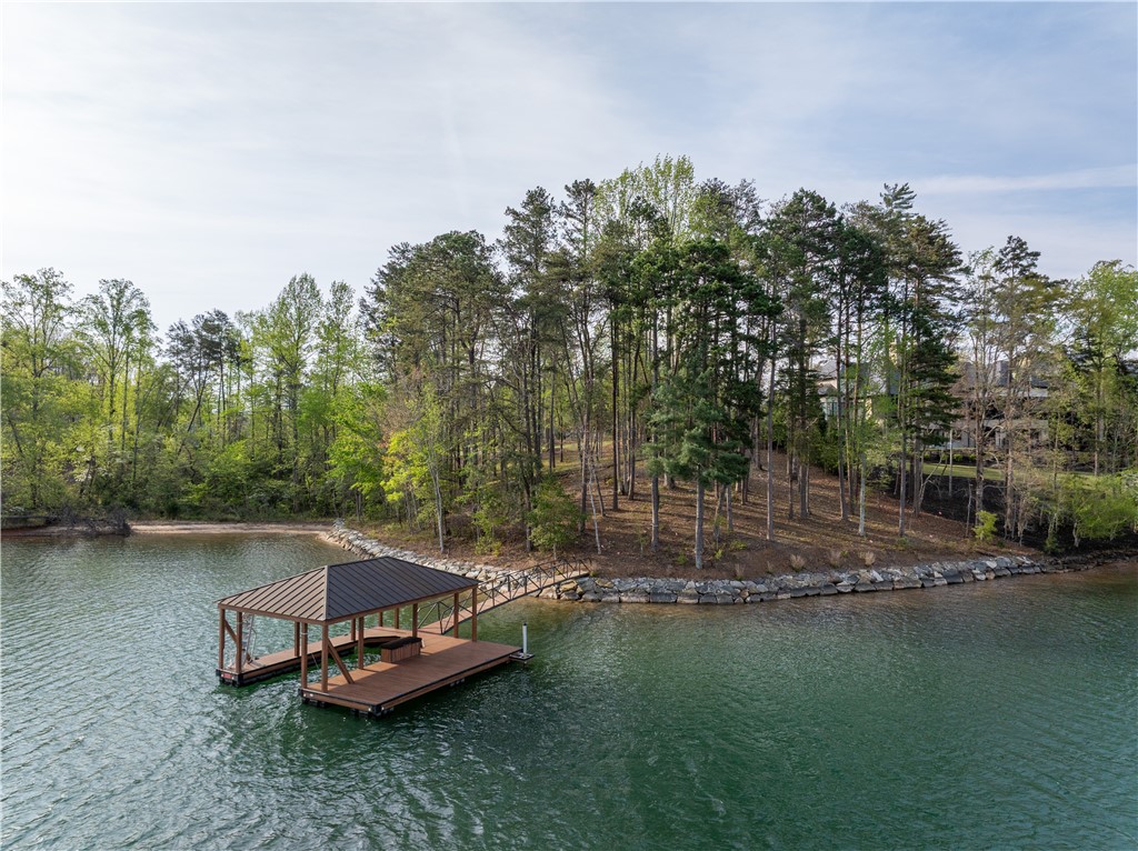 Lot 23 Peninsula Ridge Sunset, SC 29685 - Photo 22 of 22