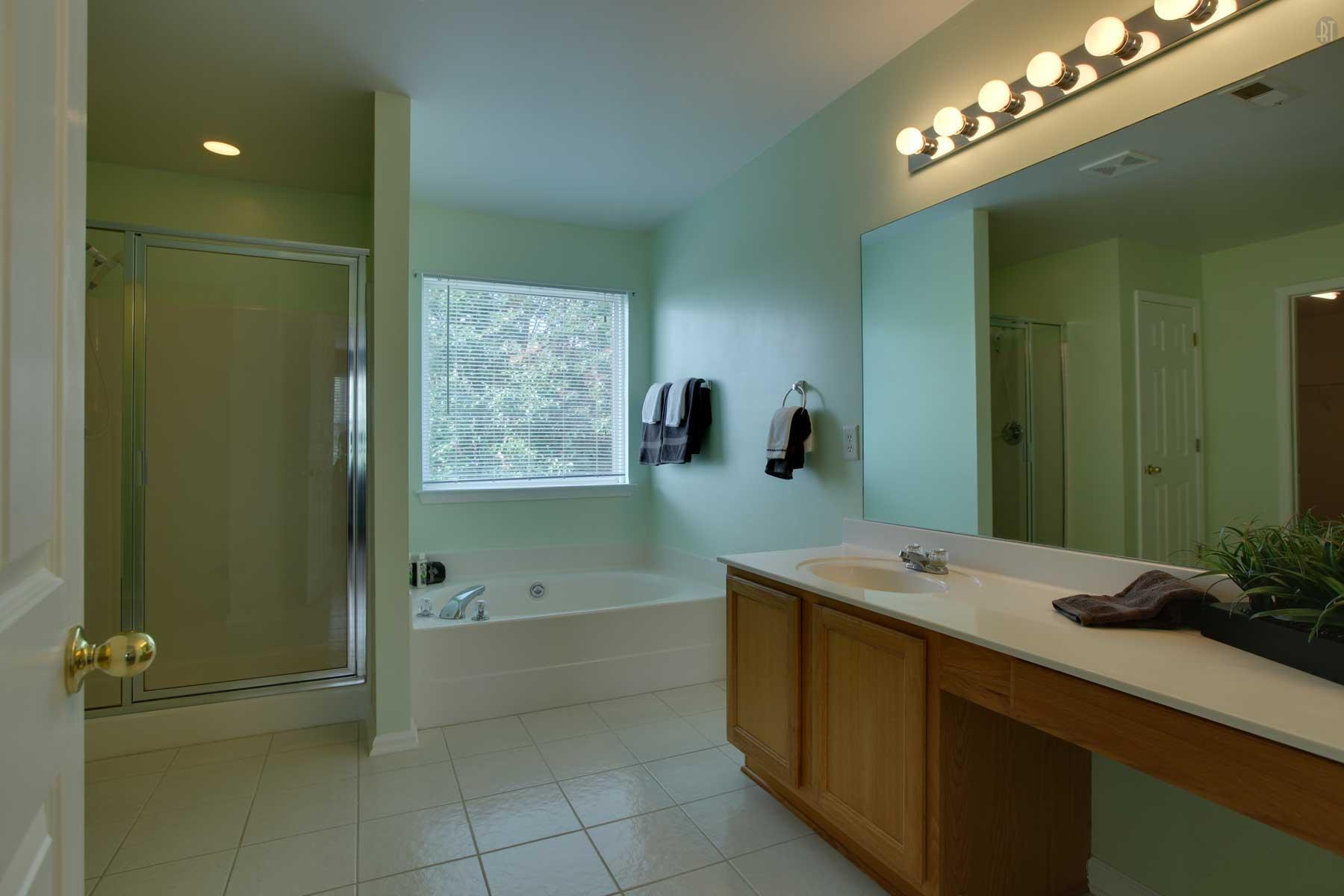 1735 Liberty Pike Franklin, TN 37067 - Photo 23 of 30 a bathroom with a tub sink and mirror