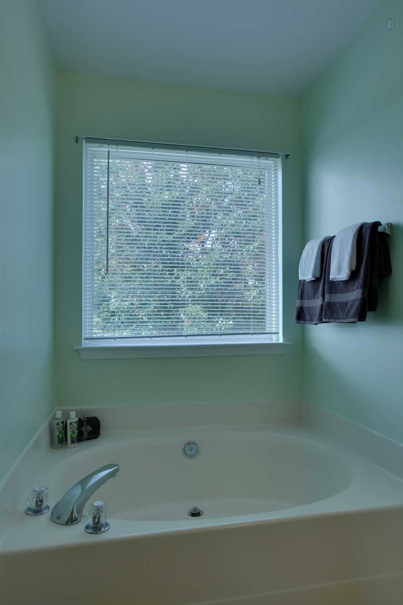 1735 Liberty Pike Franklin, TN 37067 - Photo 24 of 30 a bathroom with a bathtub