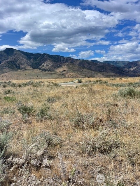 0 Lot 1 Bill Shaw Road Pateros, WA 98846 - Photo 4 of 23