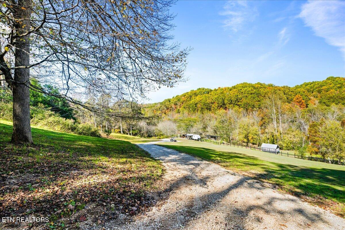 2938 Cedar Creek Road La Follette, TN 37766 - Photo 15 of 39 gravel-driveway-norris-lake-acreage
