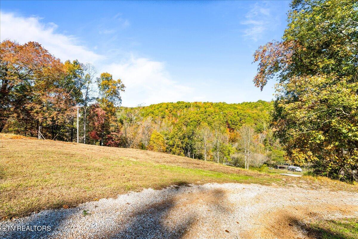 2938 Cedar Creek Road La Follette, TN 37766 - Photo 5 of 39 gravel-driveway-norris-lake-acreage