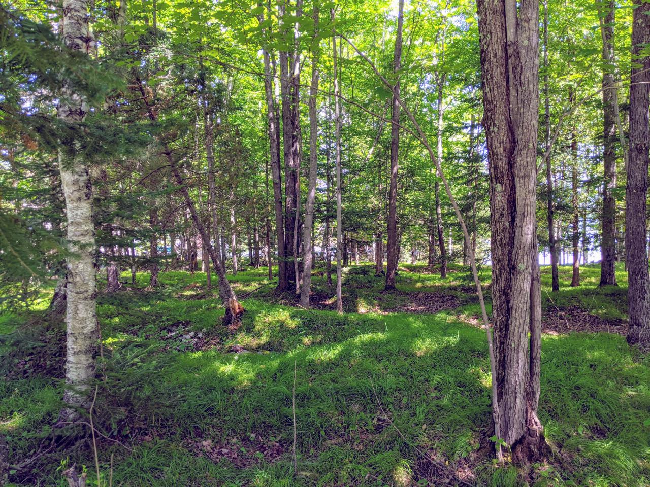 On East Solberg Lake Road Phillips, WI 54555 - Photo 8 of 12 Gallery Image 8