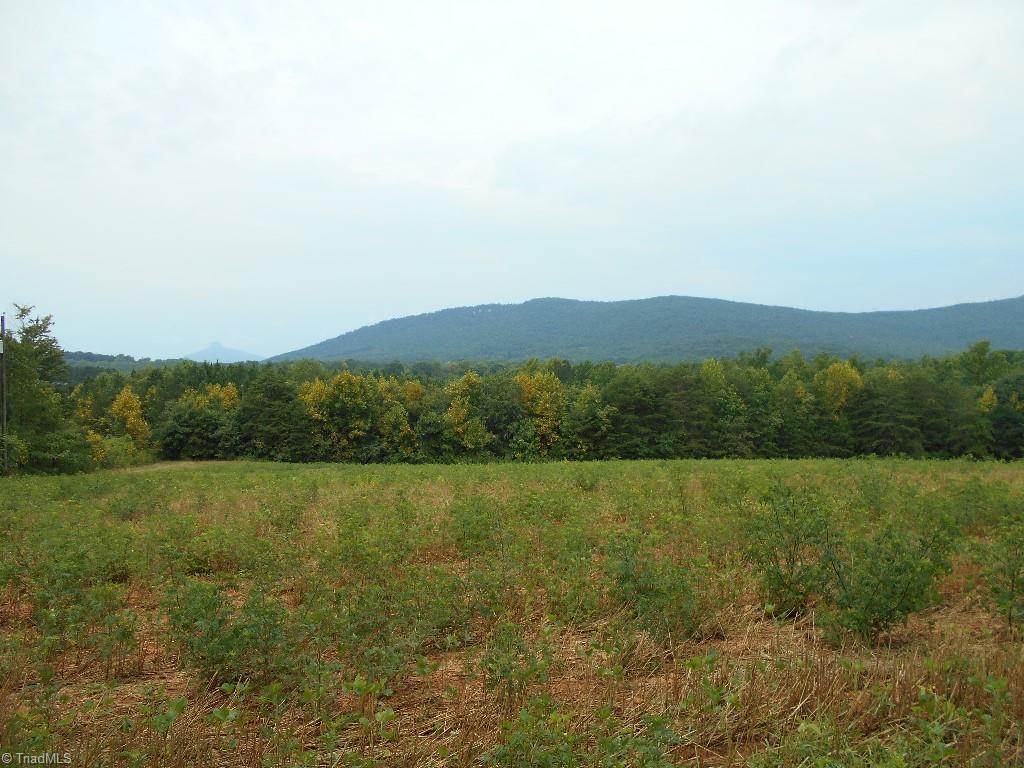 Lot 6 Gentry Farm Road King, NC 27021 - Photo 1 of 5