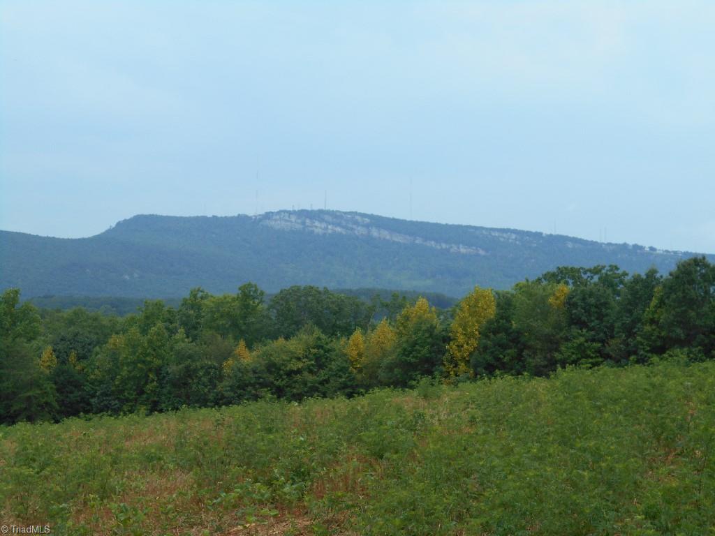 Lot 6 Gentry Farm Road King, NC 27021 - Photo 2 of 5