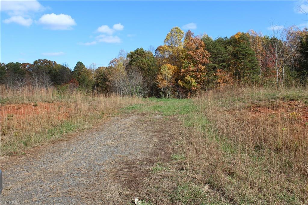 Lot 6 Gentry Farm Road King, NC 27021 - Photo 4 of 5