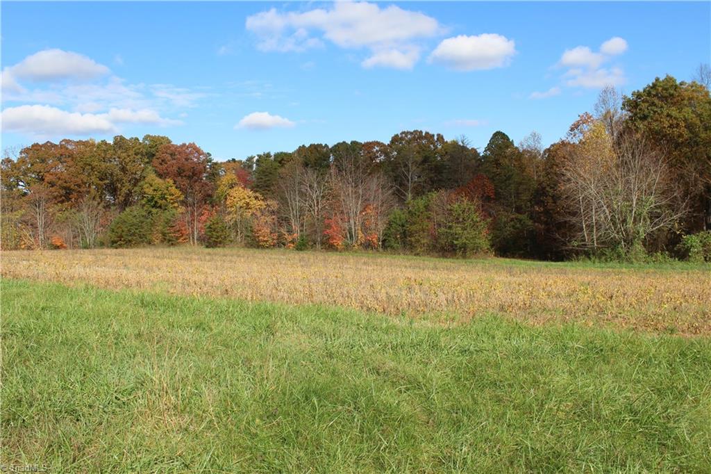 Lot 6 Gentry Farm Road King, NC 27021 - Photo 5 of 5