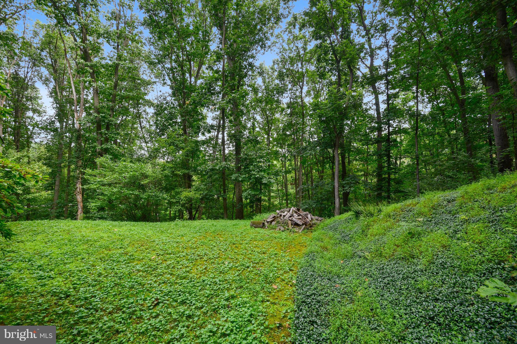 2045 Fridinger Mill Road Westminster, MD 21157 - Photo 25 of 30 Low maintenance side Yard