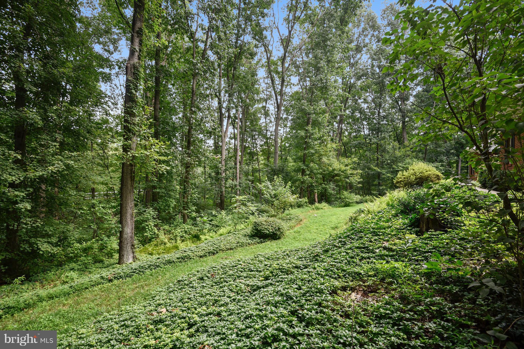 2045 Fridinger Mill Road Westminster, MD 21157 - Photo 26 of 30 Front yard with tons of privacy