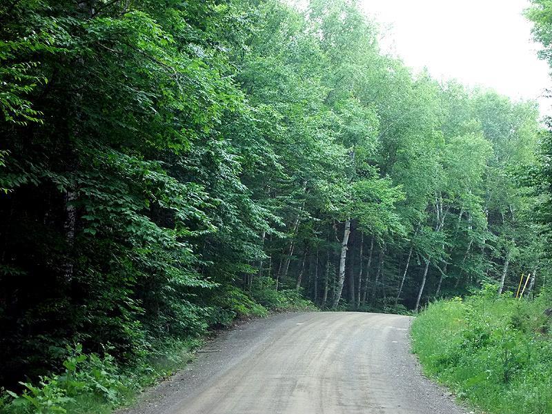 Lot 1 South Shore Road Houlton, ME 04730 - Photo 10 of 35 Photo