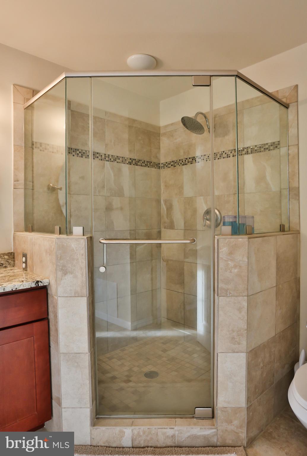 18251 Maple Spring Court Leesburg, VA 20176 - Photo 16 of 32 Walk in shower