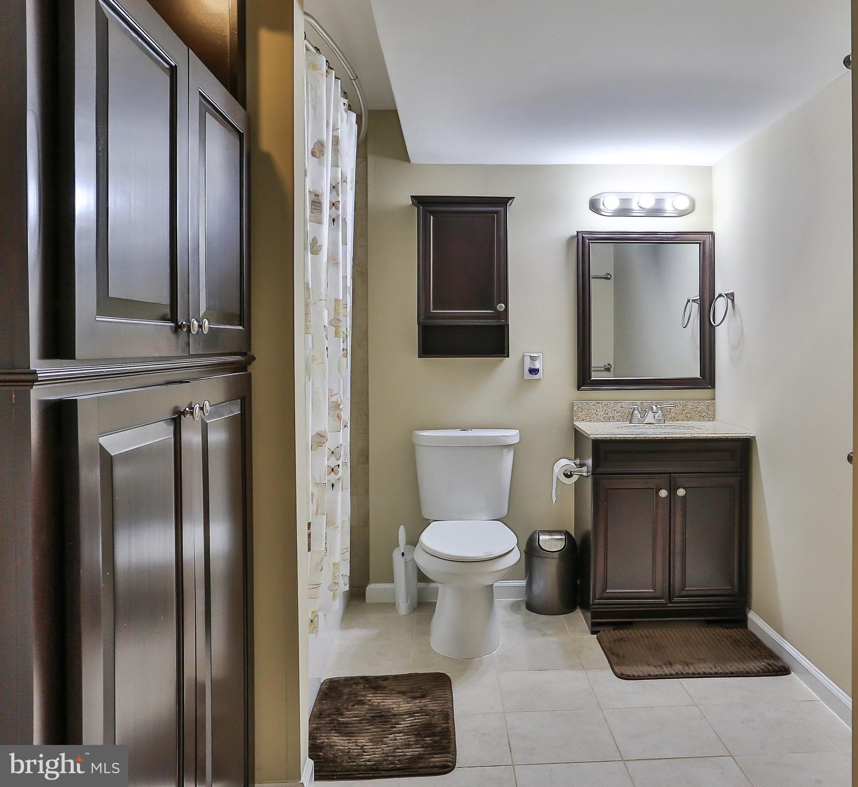 18251 Maple Spring Court Leesburg, VA 20176 - Photo 29 of 32 Basement attached full bath