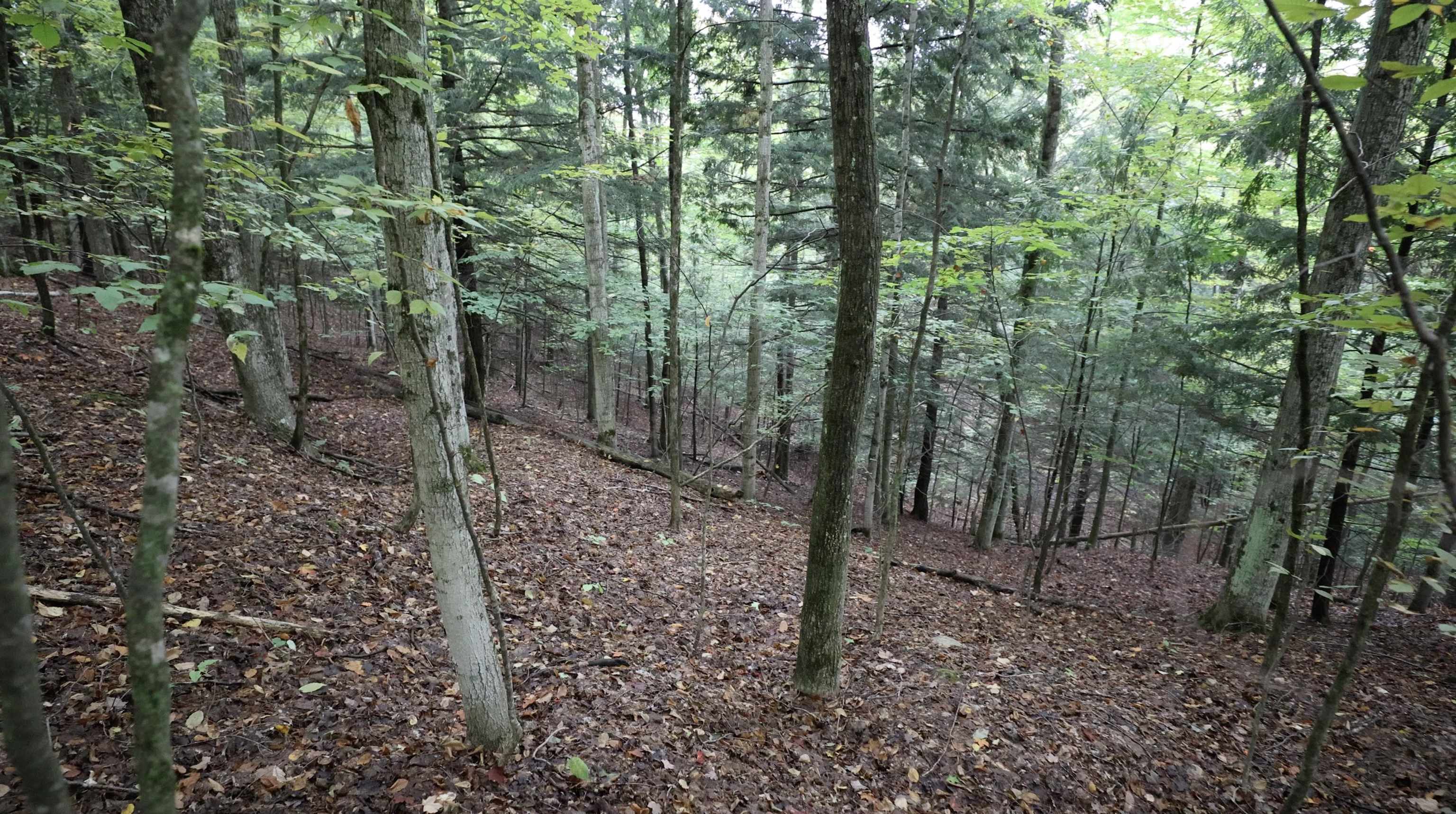 Tbd Hoosier Valley Road Traverse City, MI 49685 - Photo 4 of 20 Gallery Image 4