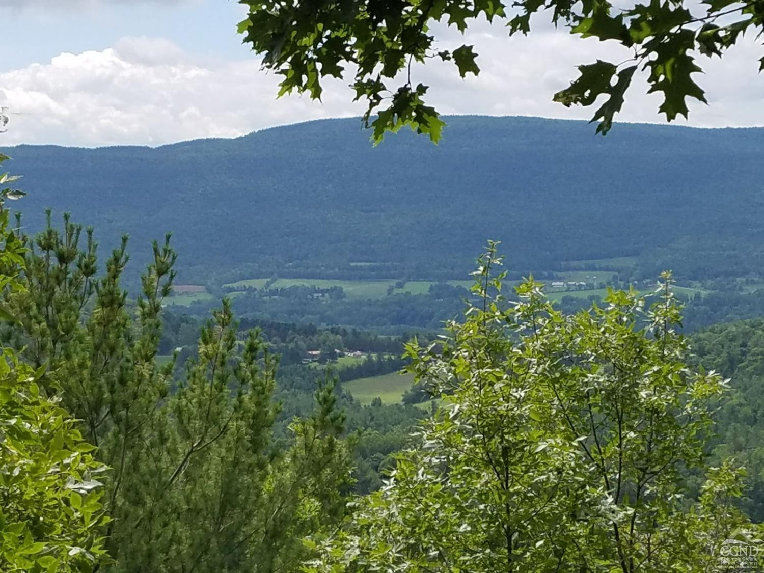 510 Mill Valley Road Middleburgh, NY 12122 - Photo 1 of 50 a view of a garden