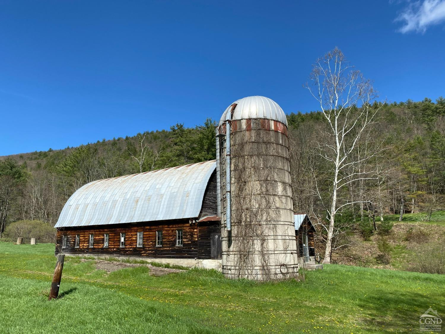 510 Mill Valley Road Middleburgh, NY 12122 - Photo 20 of 50 a view of a back yard