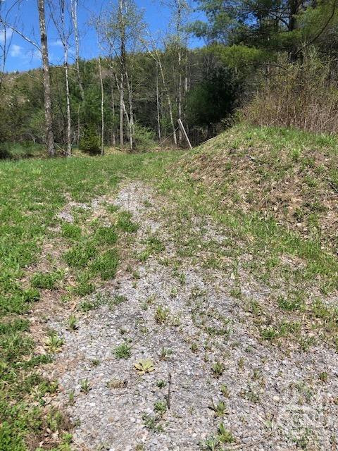510 Mill Valley Road Middleburgh, NY 12122 - Photo 21 of 50 a view of a backyard